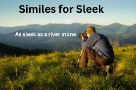 Similes for Sleek with Explanation and Examples