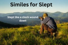 Similes for Slept with Explanation and Examples