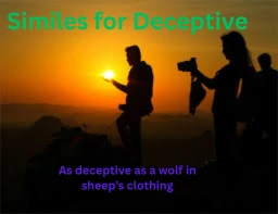 Similes for Deceptive with Explanation and Examples