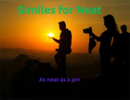 Similes for Neat with Explanation and Examples