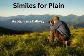 Similes for Plain with Explanation and Examples
