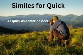 Similes for Quick with Explanation and Examples