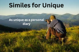 Similes for Unique with Explanation and Examples