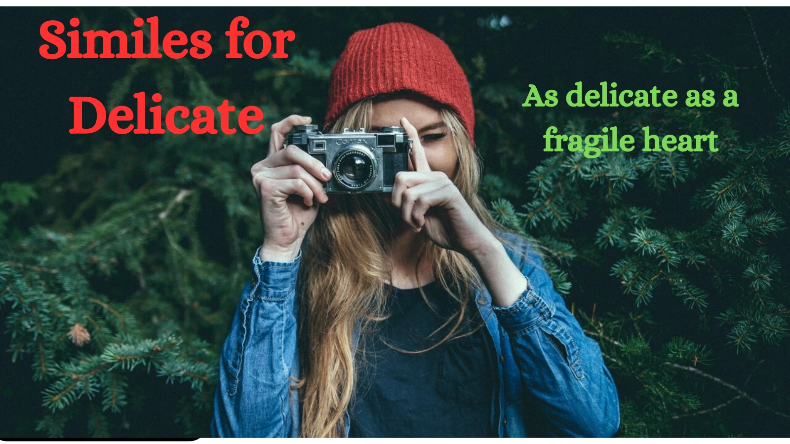 Similes for Delicate with Explanation and Examples