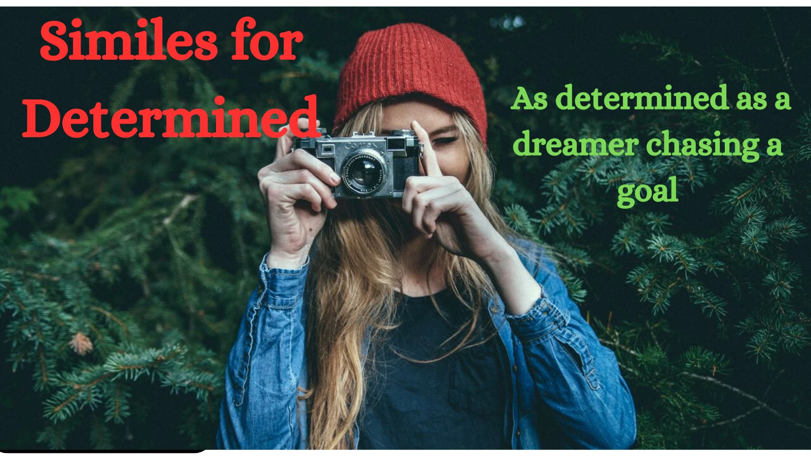 Similes for Determined with Explanation and Examples