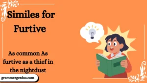 Similes for Furtive with Explanation and Examples