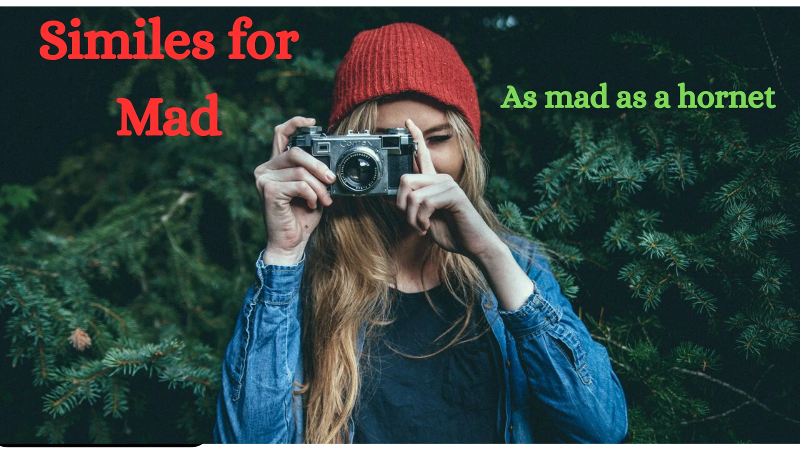 Similes for Mad with Explanation and Examples