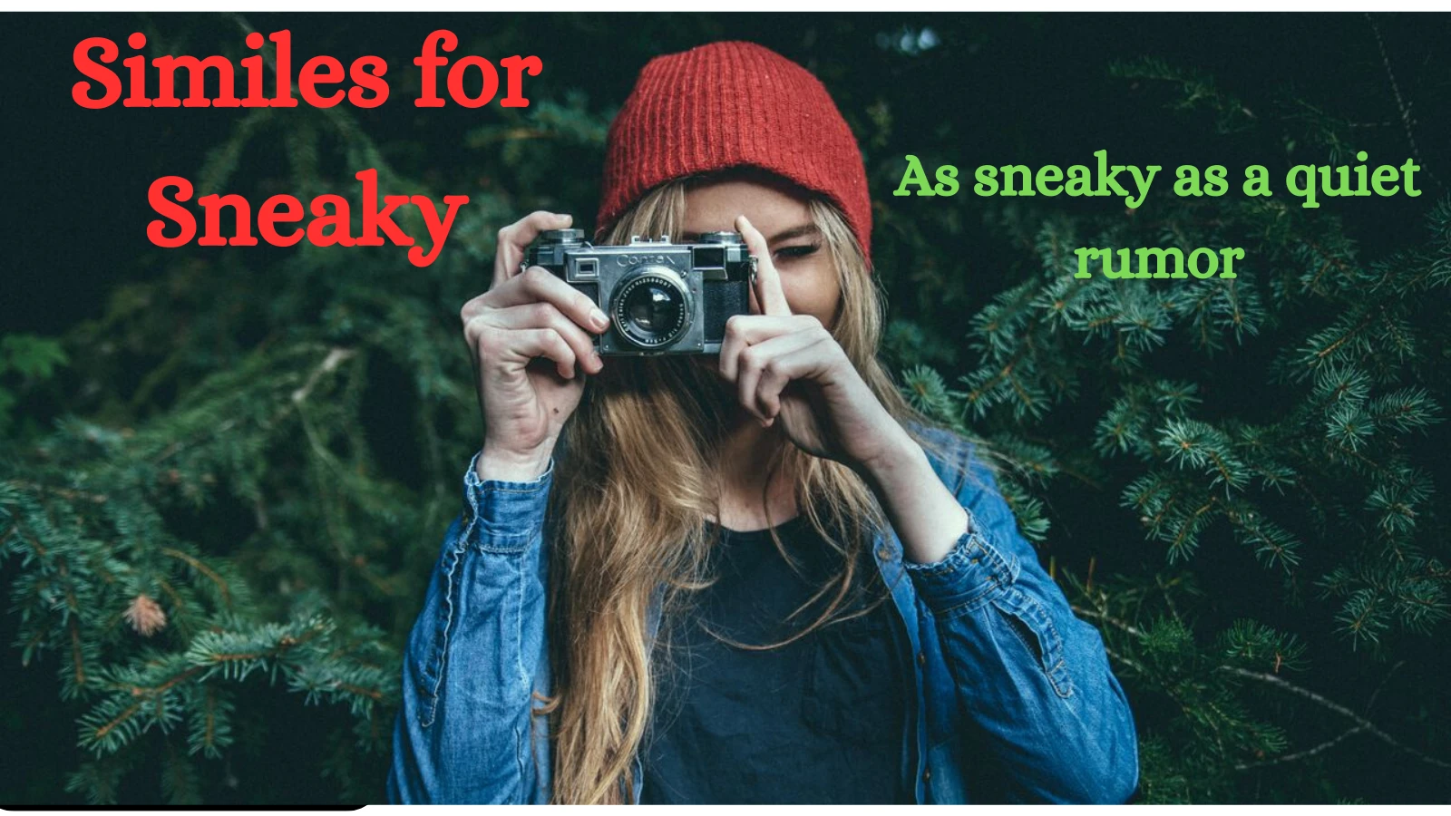 Similes for Sneaky with Explanation and Examples