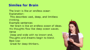 Similes for Brain