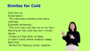 Similes for Cold
