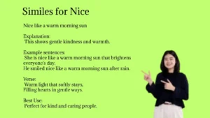 Similes for Nice