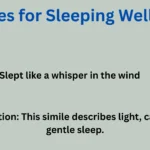 Powerful Similes for Sleeping Well with Explanation and Examples