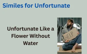 Similes for Unfortunate: A Complete Writing Guide