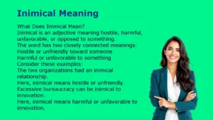 Inimical Meaning