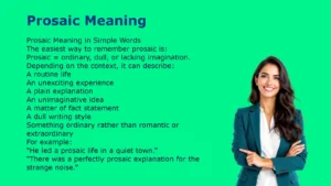 Prosaic Meaning