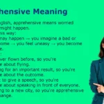 Apprehensive Meaning