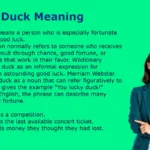 Lucky Duck Meaning