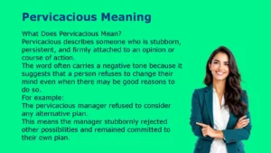 Pervicacious Meaning