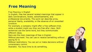 Definite Mean Executive Meaning: Definition, Examples, and How to Use It